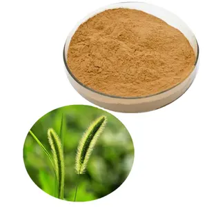 Supply Best Price Natural Organic Halal Approved Grass Horsetail Extract