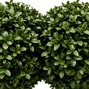 <b>Artificial</b> Double Ball <b>Tree</b> - Product Image 6