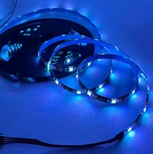 Tira de LED SMD, DC 12V, IP65, Impermeable, Cuerpo de Silicona, Luz Azul 6000K, Alerta de Luz Diurna, 50000 Horas de Duración - Product Image 1