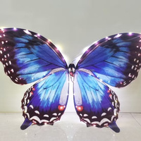 JIN PENG 2026 Nouveau drone papillon bionique RC pour la livraison de alliances lors de cérémonies et événements