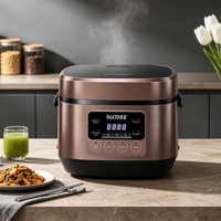 Autocuiseur Électrique Tactile Intelligent Multifonctionnel 1L-1.8L avec Cuve Intérieure en Acier Inoxydable 304, Préréglage 24H, Mini Appareil Électroménager Économe en Énergie