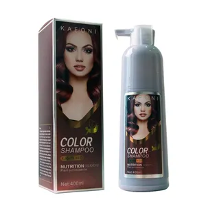 2021 Popular Hair Dye Wholesale Natural Color Red Home Hair Color Cream Hair Directly Temporary Easy Coloring