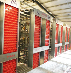 Hệ thống thu gom Trứng Gia cầm hệ thống thu thập trứng hệ thống thu thập trứng tự động hóa thiết bị chăn nuôi gia cầm - Product Image 5