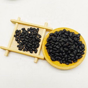 Haricots de lentilles noires biologique de qualité supérieure, lentilles noires d'urad dal à vendre - Product Image 4