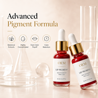 Encre de microblading en gros, formule 100% pure et végane pour le blush des lèvres, l'eye-liner, pâte de couleur semi-permanente