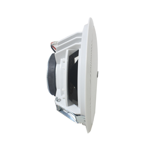 Enceinte de plafond active sans fil blue-tooth de 6.5 pouces avec ligne 100V en 2*20W Set 1 haut-parleur principal 1 haut-parleur passif - Product Image 5