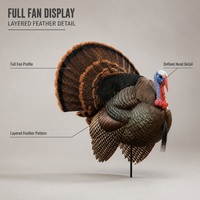 Leurre de chasse au dindon 3D réaliste avec plumes superposées, pliable et imperméable, équipement de chasse aux oiseaux