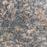 Panneaux muraux en pierre de granit gris-brun naturel pour intérieur et extérieur, marches d'escalier, seuils et rebords de fenêtre