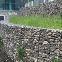 Boîte de gabions 2x1x1 gabion soudé pour la protection gabion en treillis soudé galvanisé à chaud