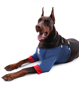 Gilet pour pattes avant de chien avec protection des coudes - Couvre-pattes en coton doux pour chiens de petite, moyenne et grande taille - Product Image 6