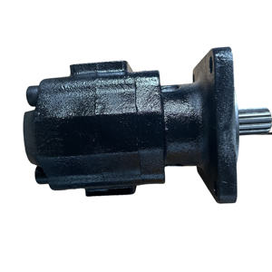 Bomba Hidráulica de Repuesto HuamaoP25X378BEIU25-7 Parker. Modelo 3139115017. Suministro de Bomba Hidráulica para Plataformas de Trabajo - Product Image 2