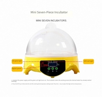 Incubateur d'œufs automatique compact, contrôle intelligent de la température, boîte d'éclosion, retourneur d'œufs automatique, réutilisable, écologique