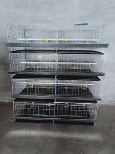 Gün eski tavuk bebek civciv pullet yetiştirme kafesi - Product Image 2