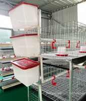 Cage pour Poulets de Chair 3/4 Étages 60-80 Oiseaux Type H Équipement de Batterie Galvanisé Cages à Poulets de Chair pour Élevage Avicole à Domicile