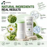 Sérum en stick à l'extrait de cactus, marque privée, 10g, zinc, bisabolol, acide hyaluronique, hydratant facial portable, produits de soin coréens