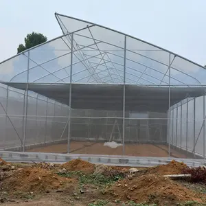 Invernadero agrícola de plástico, película de plástico de túnel de bajo coste, diente de sierra, ventana de techo