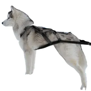 Harness Lengan Anjing Reflektif Aman, Rompi Tarik X Balap Belakang, Harness Anjing LED Husky Empuk