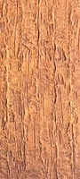Panneau mural extérieur en PU imperméable moderne, texture bois 3D, design graphique, installation facile, panneaux muraux pour usage domestique et hôtelier