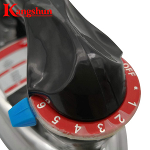 Fer à Repasser <span class=keywords><strong>Électrique</strong></span> 220V/110V avec Semelle Polie pour Usage Domestique et Hôtelier en Amérique du Sud - Product Image 3
