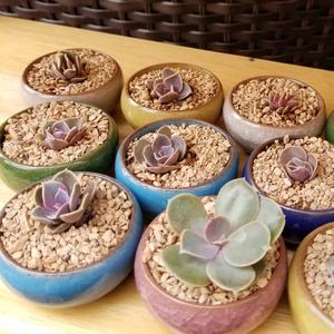 وعاء زهور مزجج صغير للنباتات النضرة ، حاوية صبار تيراكوتا لطيف ، ديكور حديقة المنزل ، حرفة تصميم تصدع الجليد ، فكرة هدية - Product Image 5