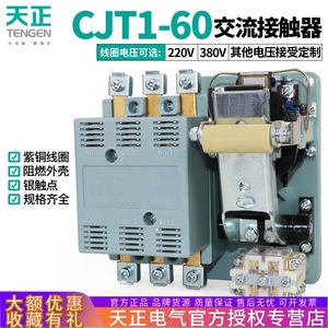 Contactor de CA Tengen CJT1-60, 60A, 3P, 220V/380V, Montaje en Riel DIN, Contactor Trifásico con Contactos de Plata - Product Image 2