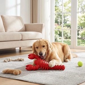 Custom Extra Large Red Lobster Rubber Chew <b>Toy</b> <b>for</b> Dogs Durable Novelty <b>Interactive</b> <b>Pet</b> <b>Toy</b> Indoor Use - Product Image 6