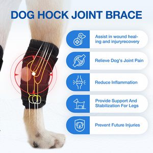 Tutore per la gamba del cane per il garretto della zampa posteriore e la caviglia per la compressione della gamba posteriore del cane di ACL e CCL - Product Image 3