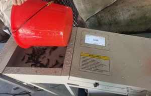 Máquina Contadora de Larvas de Camarones y Peces con IA Avanzada, Contador Automático de Alta Precisión para Criaderos, Acero Inoxidable, 99% de Precisión - Product Image 2