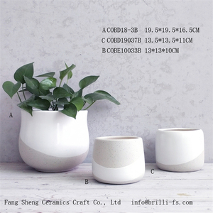 Pots à fleurs décoratifs modernes et abordables pour plantes succulentes, avec logo personnalisé et finition mate, pour la décoration de table et de bureau. - Product Image 2