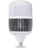 Ampoule LED en aluminium haute puissance 30W-200W E27/E40 10000K avec télécommande, lampe LED d'intérieur