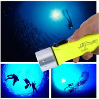 Lampe de plongée professionnelle à lumière puissante, éclairage ultra-lumineux, lampe torche pour travaux sous-marins, lampe de plongée LED