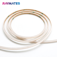 Bande lumineuse d'extrusion Raymates 3000K IP65 Led étanche 320LED 24V pour hôtel Bande flexible néon Led 5MM 5W Bande Cob