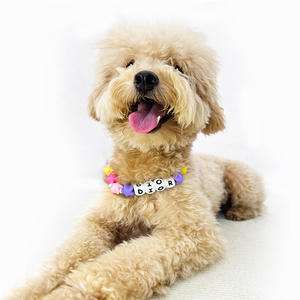 Collar de Dijes Personalizado de PVC para Mascotas Hecho a Mano con Cuentas y Placa de Nombre, Accesorios de Joyería Elegantes para Perro al por Mayor - Product Image 6