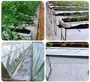 Toile de paillage blanche pour l'agriculture et le jardinage, couverture de sol anti-mauvaises herbes pour serre - Product Image 6