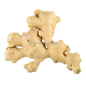 Gừng Tươi Trung Quốc Chất Lượng Xuất Khẩu - Product Image 1