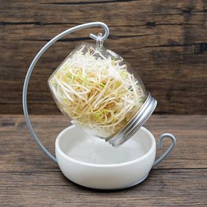 Le kit <span class=keywords><strong>de</strong></span> pot <span class=keywords><strong>de</strong></span> germination en verre biologique sans BPA comprend un support <span class=keywords><strong>de</strong></span> plateau en céramique pour une culture facile des graines <span class=keywords><strong>de</strong></span> salade <span class=keywords><strong>de</strong></span> <span class=keywords><strong>lentilles</strong></span> <span class=keywords><strong>de</strong></span> haricots - Product Image 6