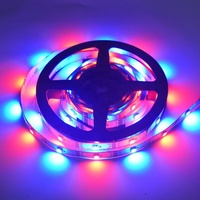 Tira de Luces LED RGBIC SMD5050 de 6W, USB, Direccionable, para Retroiluminación de TV y Computadora