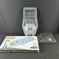 Venta al por Mayor de Fábrica: Farola Solar de 500W, Doble Cara, Monocristalina, 199 LED, Brillo Ajustable, para Jardín, Villa y Carretera