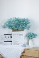 Fabrieksgroothandel Ge conserveerde Gypsophila Baby's Breath Eeuwigdurende - Hoge Kwaliteit Bloemmaterialen 120g/Pak Bulk Leverancier Bruiloft/Bureau