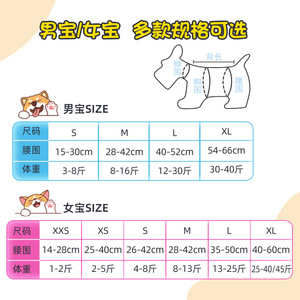 ผ้าอ้อมสัตว์เลี้ยงสำหรับสุนัข 10 ชิ้น ป้องกันการรั่วซึม ผ้าไม่ถักทอ กางเกงสำหรับสุนัขตัวเมียช่วงมีประจำเดือน - Product Image 3