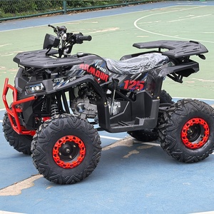 Cuatrimoto de 125cc para Adultos a <span class=keywords><strong>Precio</strong></span> de Fábrica, con Motor de Gasolina de un Solo Cilindro, Transmisión por Cadena y Suspensión Hidráulica - Product Image 1