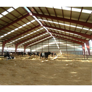 La tettoia della mucca della struttura d'acciaio crea un posto più sano e più sicuro per il bestiame - Product Image 4