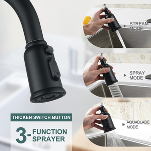 Farmhouse Style SUS 304 Kitchen Sink Faucet High Arc Single Handle Kitchen Mixer Tap with Deck Plate Matte Black Kitchen Faucet - Product Image 4