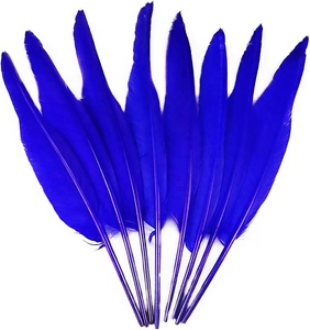 Ngỗng Đen lông cho đám cưới thủ công trang trí nhà gói của <span class=keywords><strong>100</strong></span> vật làm và vật làm vật Cung cấp Thổ Nhĩ Kỳ lông bút lông - Product Image 1