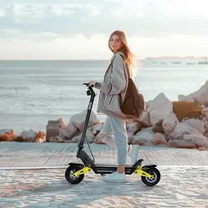 EU Stock C-Type Damping Dual Suspension Stand-up Moped with 10inch Tyres and Bluetooth Link APP, Lightweight Electric Scooter