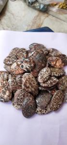 Pierres précieuses en jaspe léopard de haute qualité, formes variées, pour la fabrication de bijoux, prix de gros - Product Image 6