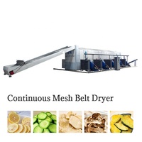 Assurance qualité maille ceinture sèche gingembre sèche Machine tranches de pomme/citron/aubépine pilules Snack sèche Machine