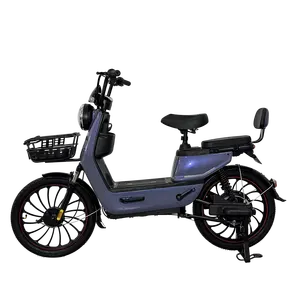 Customization Facility Bicycle Cycle Adult Ebike Electronic 20 Inch 14 Wheel Size Parts 1000W E-Bike Folding Electric City Bike