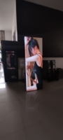 P1.86 P2 P2.5 P3 Gob Flooring Standing LED Poster Display Screen 4G WiFi USB Mobile Mirror Poster 640*1920mm LED Display Screen
