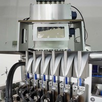 Machine d'emballage automatique à plusieurs voies pour poudre de bâton de gomme arabe Machine d'emballage de remplissage pour sachet de poudre de collagène de vitamine